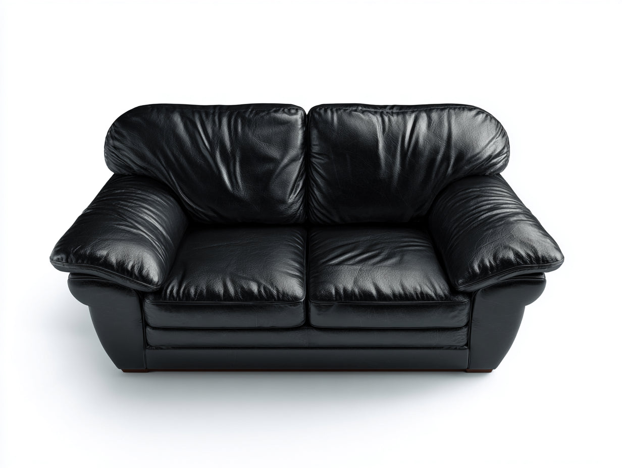 Canapé 2 places en cuir 170x88x82 cm - noir - pour salon moderne